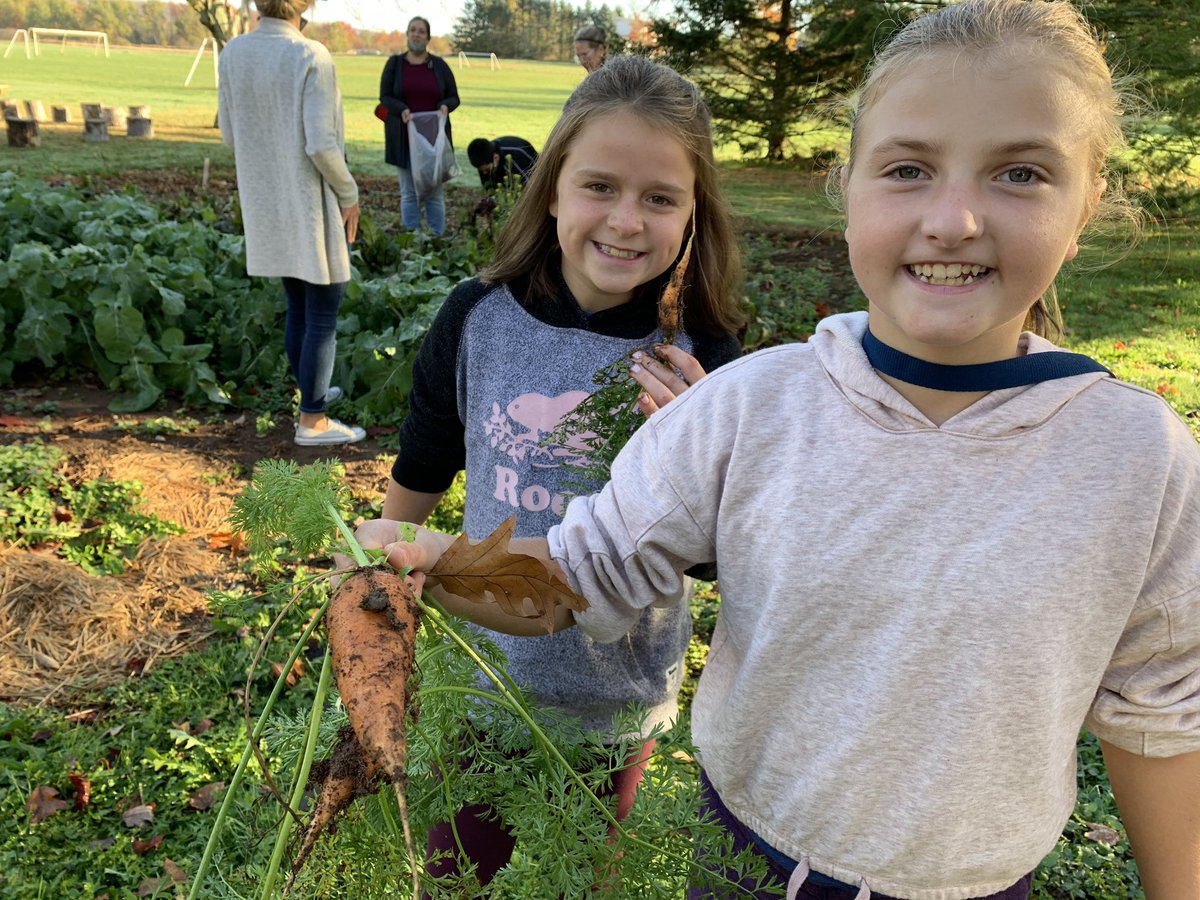 Last week we celebrated <a href="/SomersetElem_NS/">Somerset and District Elementary School</a> garden harvest. Grade 5 students harvested vegetables and prepared and served lunch to the whole school. <a href="/AVRCE_NS/">Annapolis Valley Regional Centre for Education</a> @DaveJones_AVRCE <a href="/AVHealthySchool/">AVRCE Healthy School Communities</a> <a href="/NourishNS/">Nourish NS</a> @heal