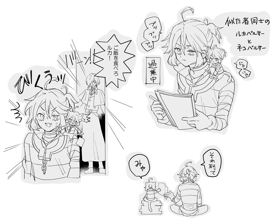 ネコバルサー描きたいところだけ落書き
※少しだけ墓囚 