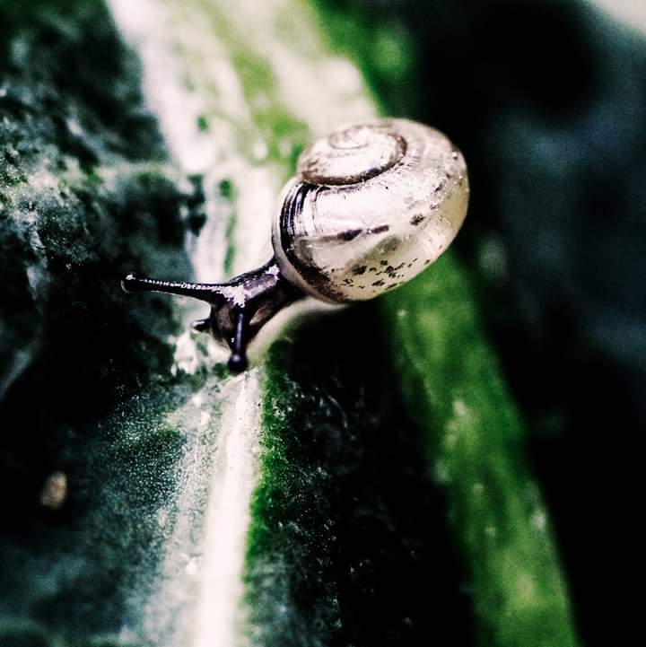 <a href="/SteveFo5ter/">Steve Foster</a> looks like <a href="/bt_uk/">BT</a> work at a snails pace when it comes to sorting me out... looks like we are back to to the problem of 3wks ago. <a href="/WeAreOpenreach/">Openreach</a> just as bad... moved from <a href="/virginmedia/">Virgin Media ❤️</a> to get away from problems but they are part of it...