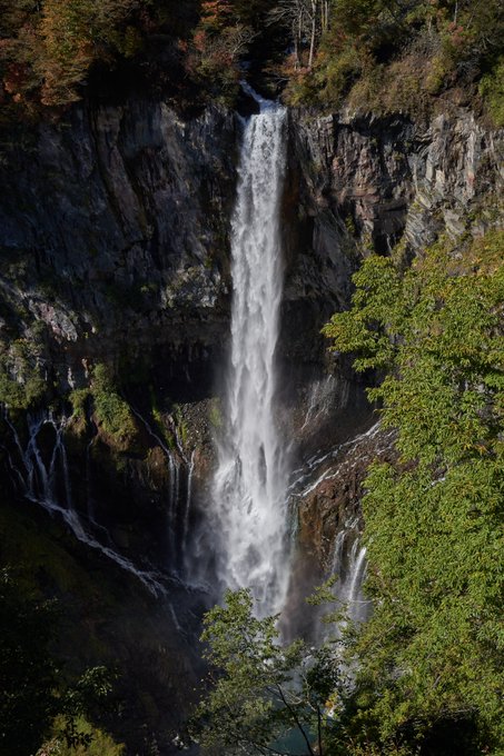 華厳のtwitterイラスト検索結果 古い順