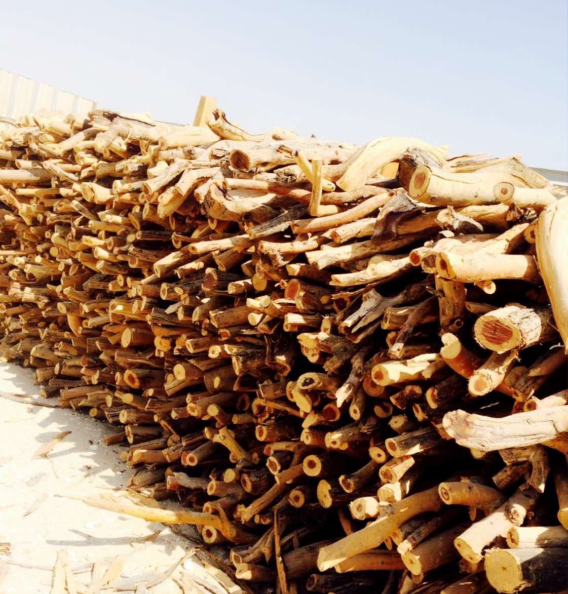 #الدمام

حطب سمر 🔥🔥