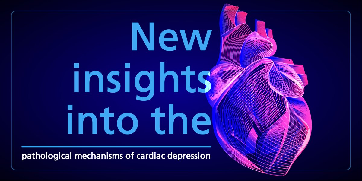 sphingotec's tweet photo. Curious about a recently identified disease mechanism leading to cardiac depression? The release of the enzyme #DPP3 into the blood stream causes the inactivation of Angiotensin II, which leads to hemodynamic instability and cardiac depression. Learn more: https://t.co/IirZrtERro https://t.co/XkAulrZsUL