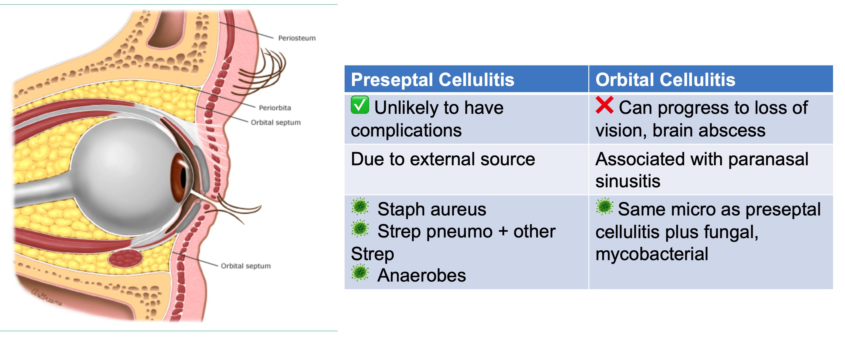 periorbital cellulitis contagious