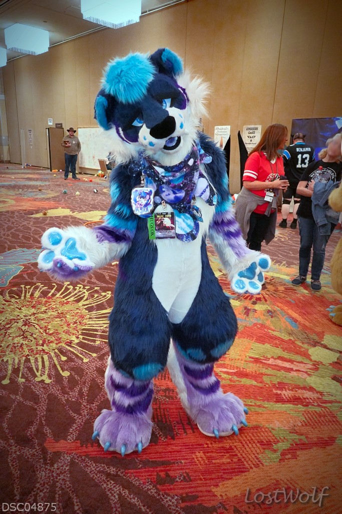 LostWolf321's tweet photo. It's @SaberBaberKyra @BiggestLittleFC #BLFC19 #BLFC2019 https://t.co/8mypE4Ogzf