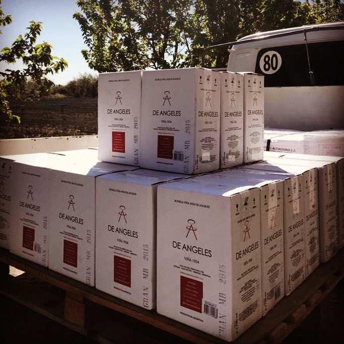 DE ANGELES @VISTALBA tweet media