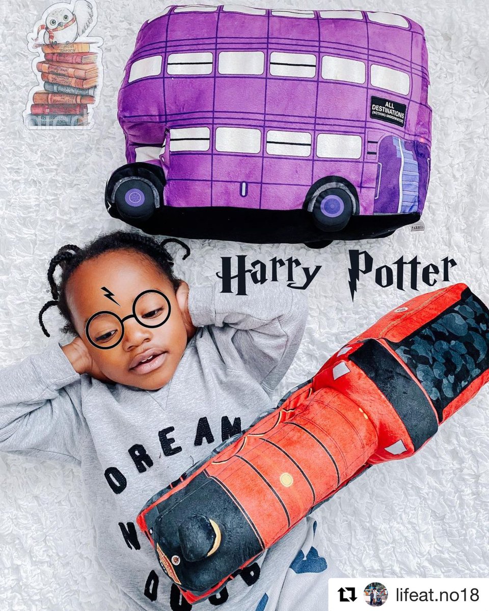 We’re back in stock of our #HarryPotter soft toys! Link in bio