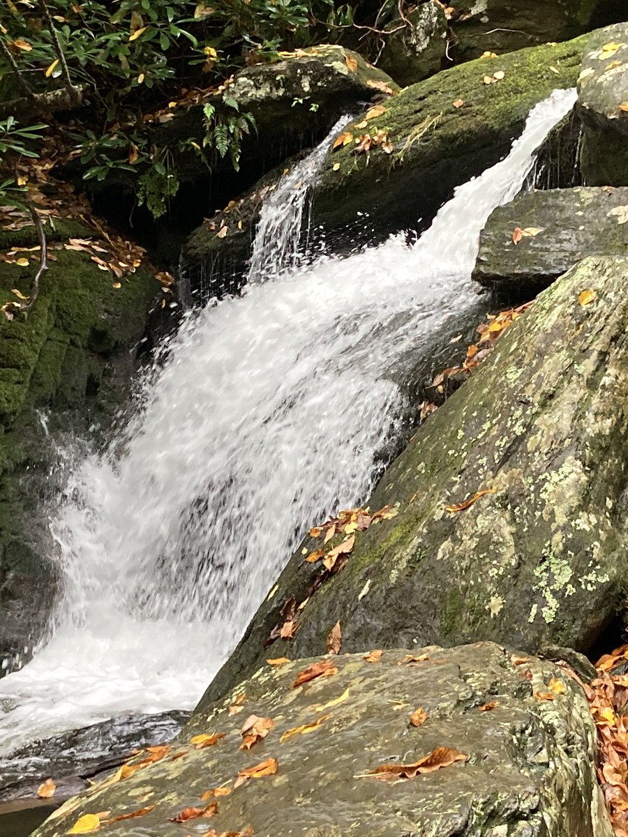 23returns's tweet photo. Which #ncwaterfall this weekend?  I’ve heard there are some quality hikes near Boone?  Or Elkin? https://t.co/XTOg2rbMoi
