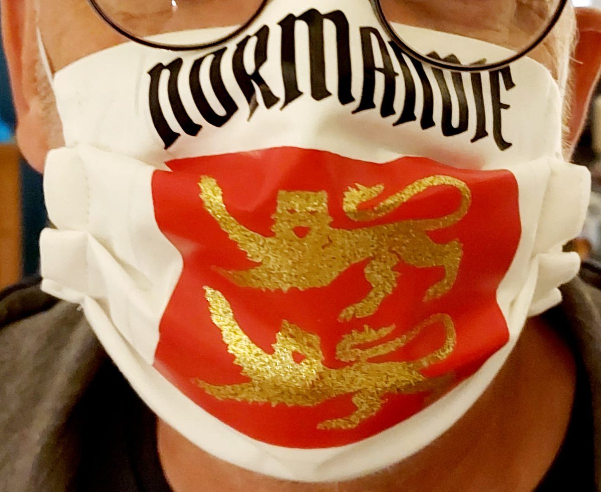 facebook.com/lepetitmondede… #Masque #Normandie #proud #masquepersonnalisé #normand #drapeau