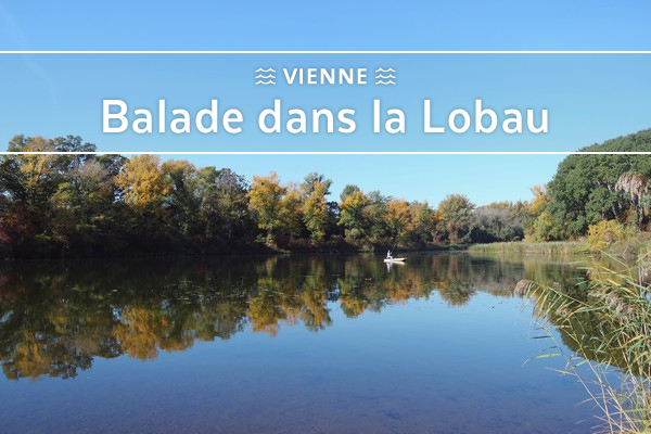 Confinées et entassées sur l'Ile de Lobau, les troupes françaises ont la chance de voir les Autrichiens se replier sur les hauteurs du Marchfeld, alors qu'ils auraient pu les bombarder sur place.Napoléon en profitera pour préparer une nouvelle traversée du Danube par l'Est.