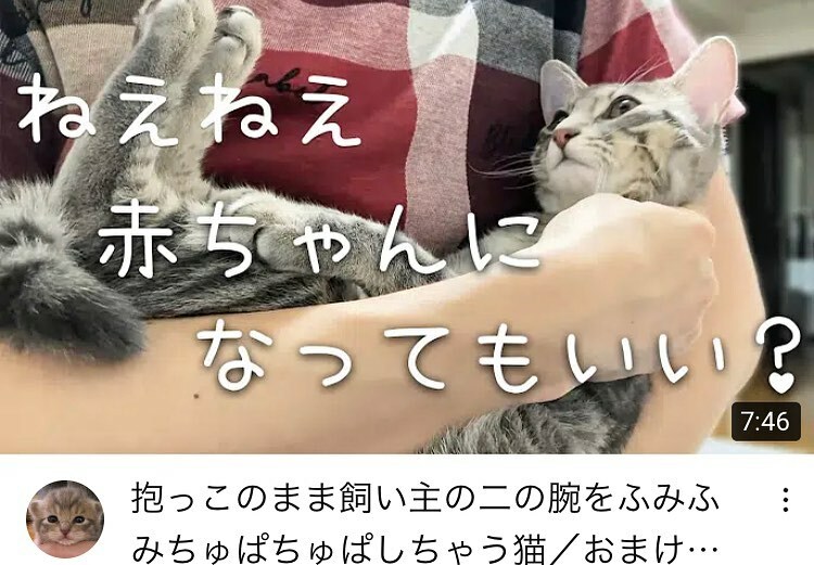 .
YouTubeを更新しました。
Updated YouTube.
https://t.co/tYxYyWehWk
#保護猫
#子猫
#kitten
#cat
#猫のいる暮らし
#ねこすたぐらむ
#にゃんすたぐらむ
#catstagram
#うずらねこ
#youtube https://t.co/5seD1SDdO2 https://t.co/ROMBQqLmNH