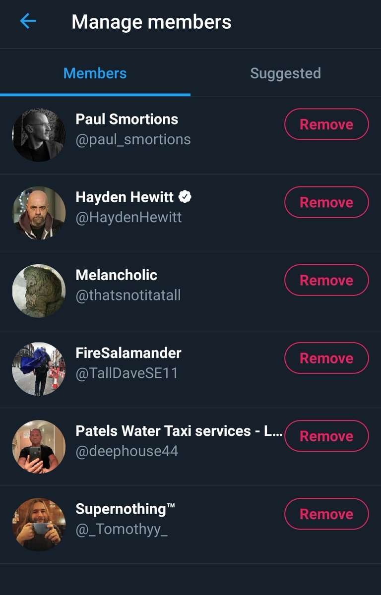 sadly @/dadrogd had me blocked before i could add him but honestly lads let us all know there's some "good people to follow" in this list, im sure this thread is proof of what top notch people gender critical men are tbh