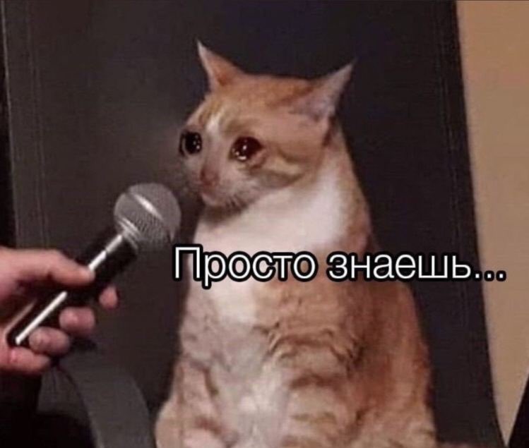 <a href="/polovinapolovin/">polovina</a>
