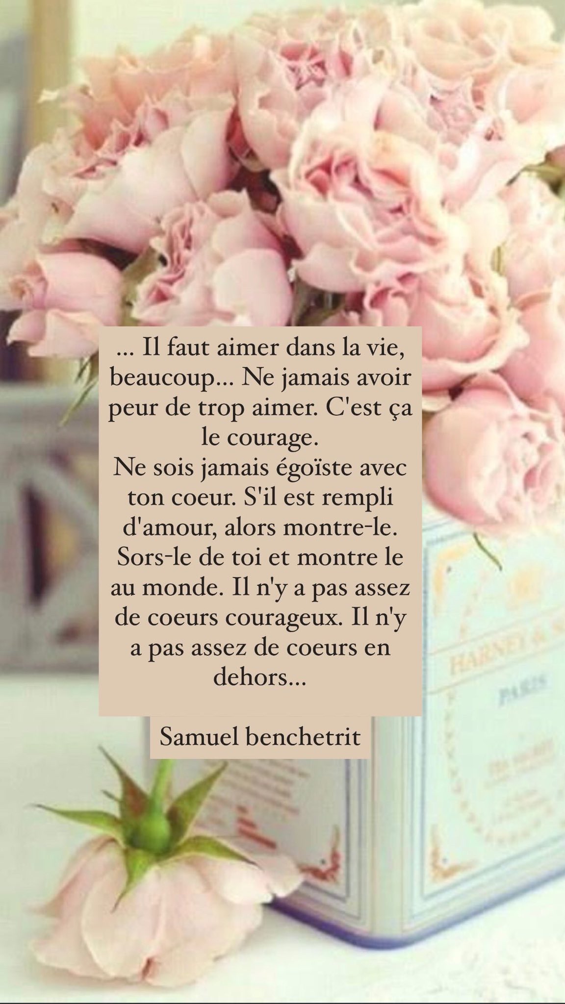 Loovence Naturopathe Citation Quoteoftheday Quotes