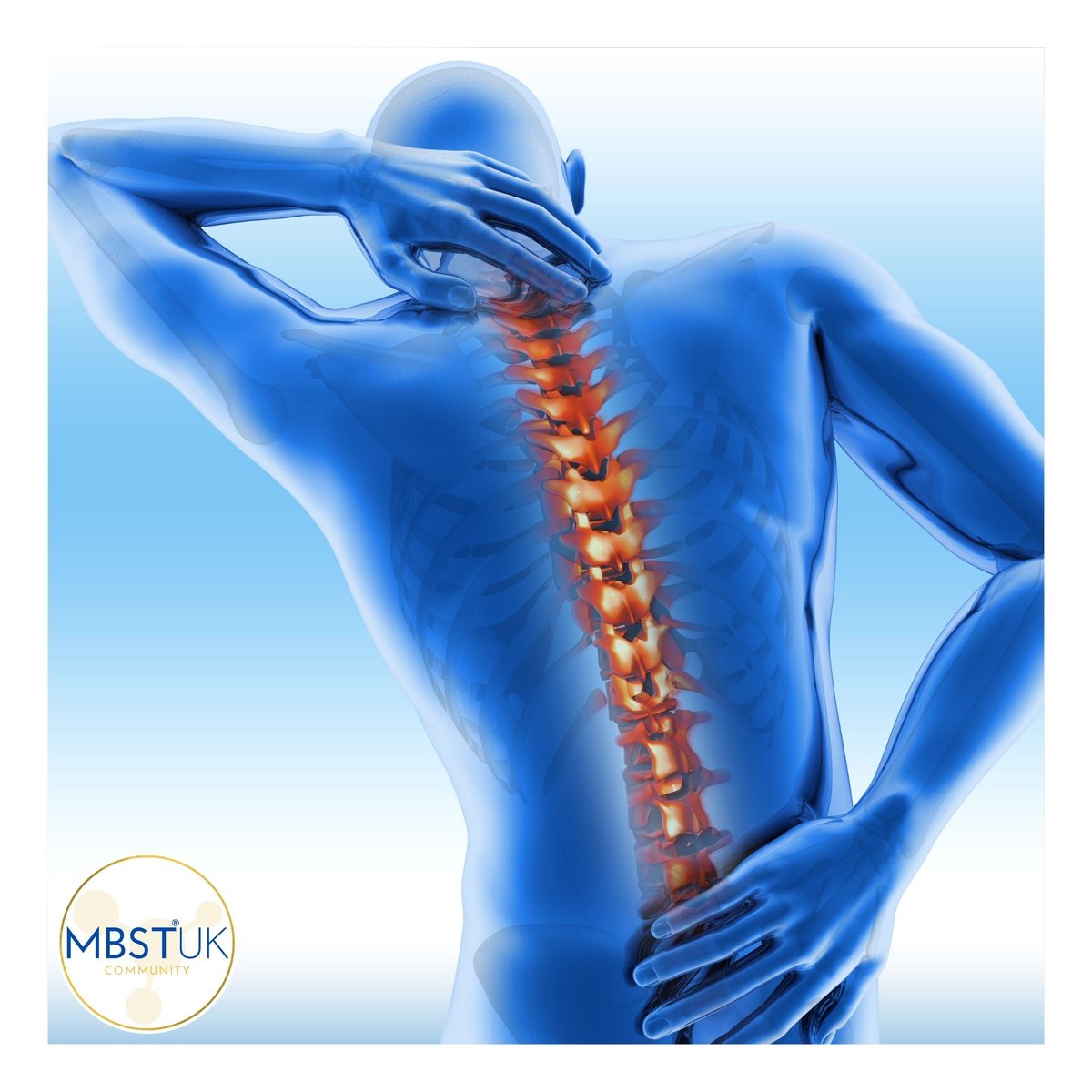 CellRegen's tweet photo. 𝐖𝐨𝐫𝐥𝐝 𝐎𝐬𝐭𝐞𝐨𝐩𝐨𝐫𝐨𝐬𝐢𝐬 𝐃𝐚𝐲 𝟐𝟎𝟐𝟎
🔹Osteoarthritis is the slow degeneration of the cartilage causing joints to be painful, stiff, &amp; fragile
🔹𝘔𝘉𝘚𝘛 helps to regenerate the cartilage by stimulating the cells into regrowth #osteoporosisday2020 https://t.co/aAcThyK6Co