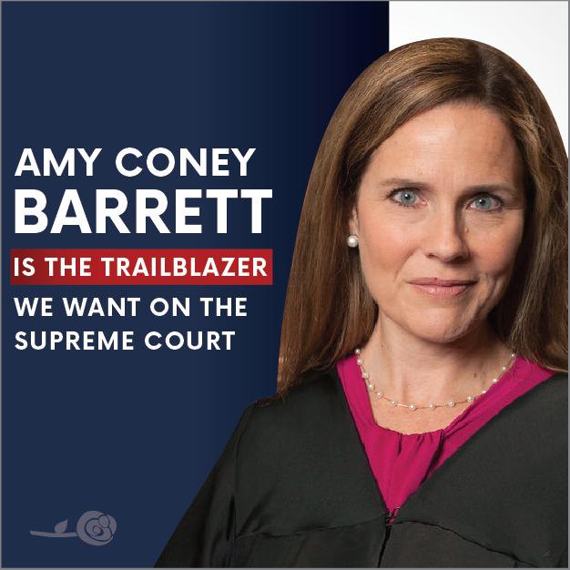 harlyhon's tweet photo. .@SenRonJohnson Judge Amy Coney Barrett is an excellent pick for the Supreme Court! As your constituent, I urge you to confirm her nomination in a quick and fair process. Come election day, I will be mindful of your vote when I cast mine. https://t.co/g4aTCctlek