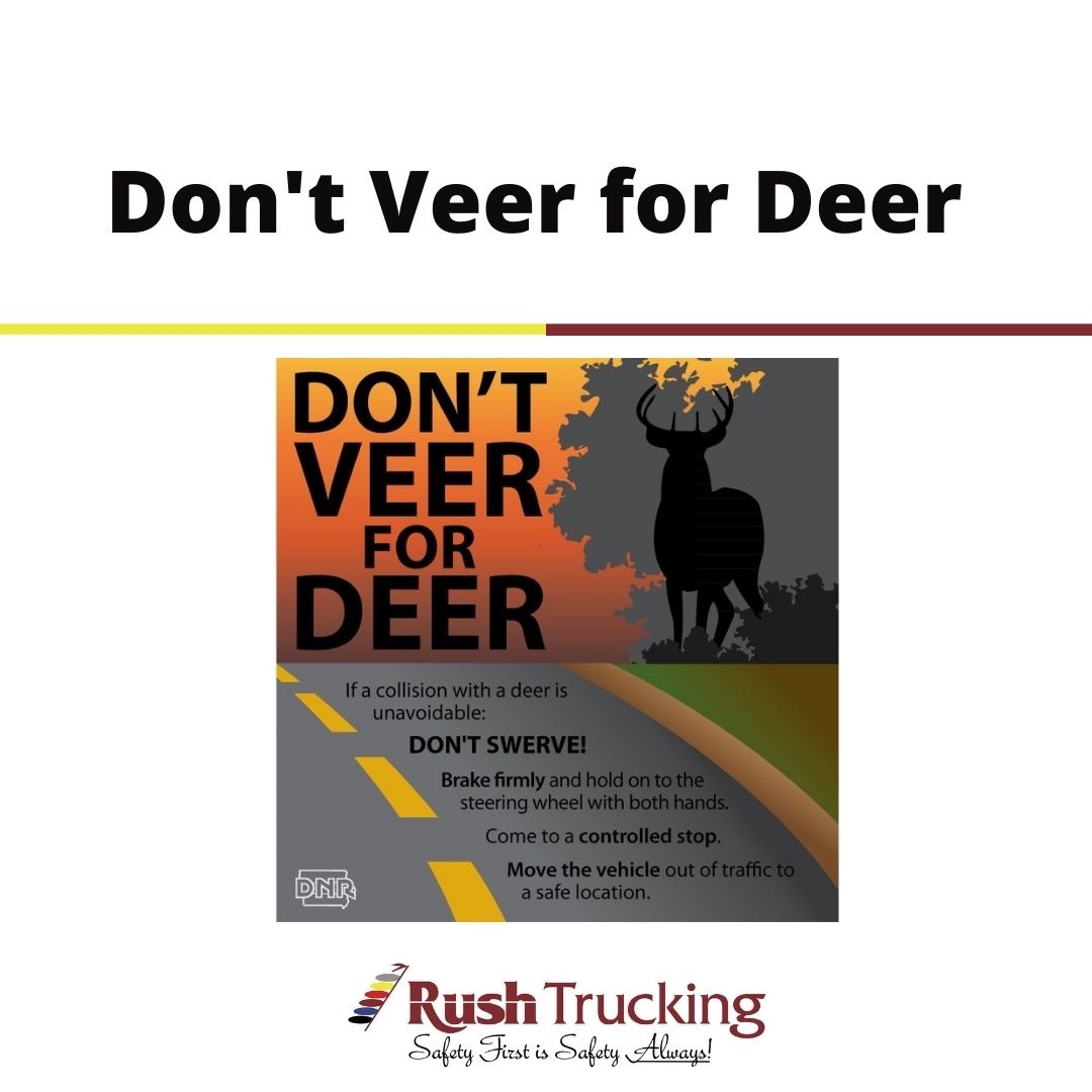 Dusk and dawn are when deer are most active - stay alert when on the road  #dontveerfordeer #stayalert #deerseason #ohdeer