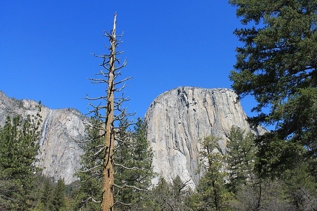 Photo By egorshitikov | Pixabay - via @Crowdfire
#elcapitan #yosemite #usa #california #rockclimbing #sierranevada #fallriver #stateparks https://t.co/bq3dpbCDIo