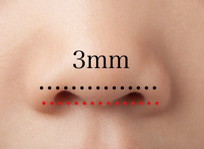 豚鼻のtwitterイラスト検索結果 古い順