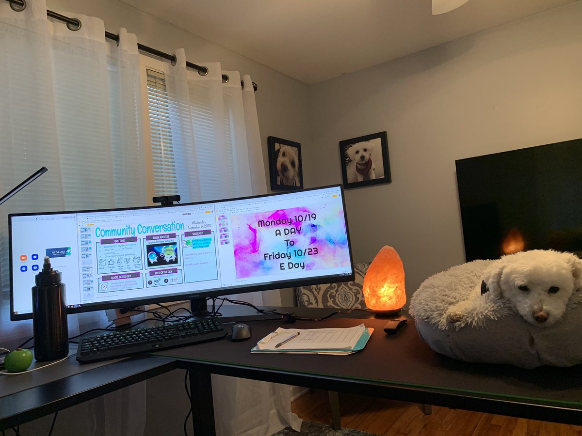 Ms. Pratt (@nfmsband) on Twitter photo Remote teaching setup includes monster monitor, salt lamp and a doggo coworker. Not pictured: small pupper playing on the carpet #remotelearning #bandkidsarethebestkids <a href="/NFMiddleSchool/">NFMiddleSchool</a> Remote teaching setup includes monster monitor, salt lamp and a doggo coworker. Not pictured: small pupper playing on the carpet #remotelearning #bandkidsarethebestkids <a href="/NFMiddleSchool/">NFMiddleSchool</a>