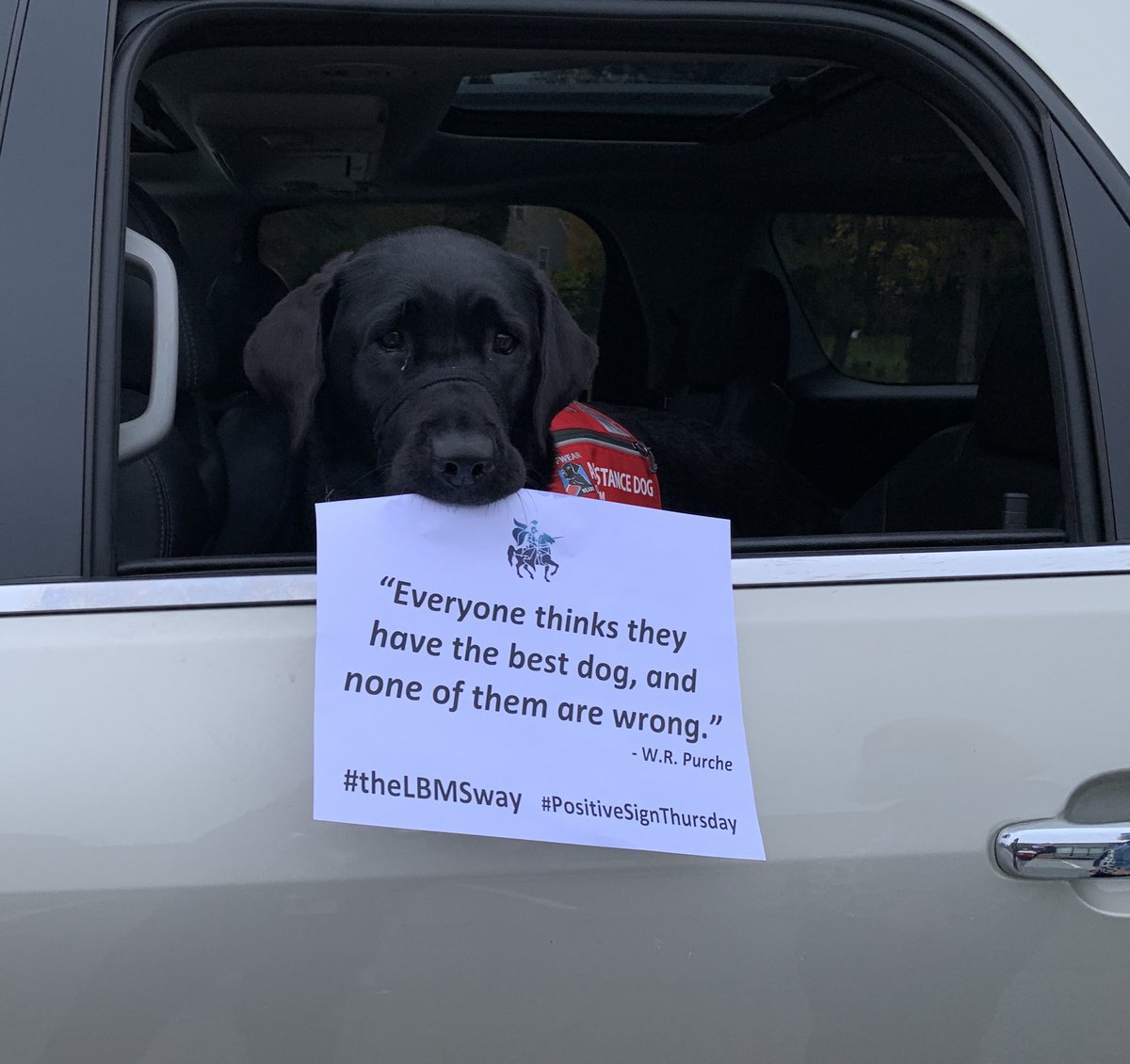LBMSPrincipal's tweet photo. Celebrating Positive Sign Thursday on Positive Sign Tuesday for our Blue Cohort. How cool is that? Even more cool is this awesome dog joining in on our morning drop off! #theLBMSway #bestcommunityever #PositiveSignTuesday https://t.co/Co36XRxTl7