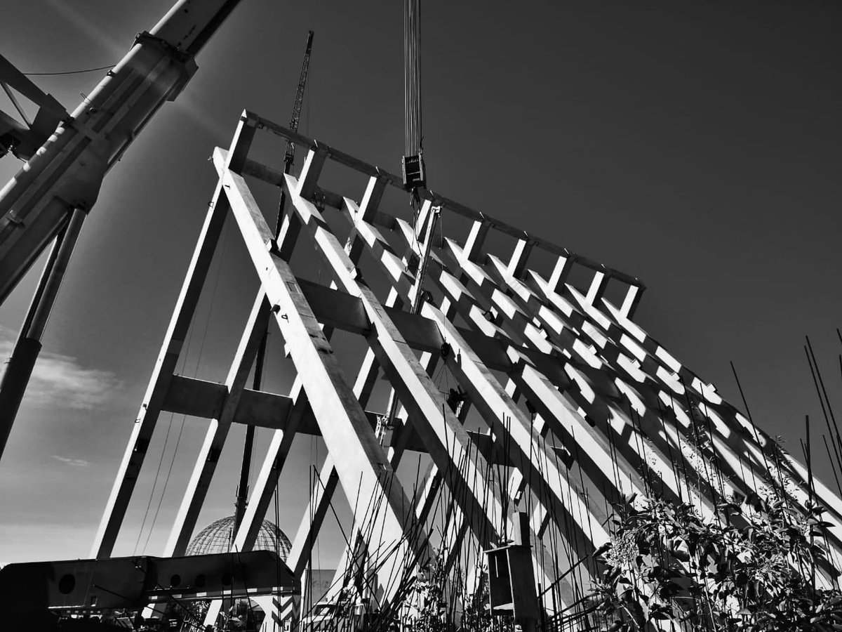 GAETA-SPRINGALL arqs tweet media