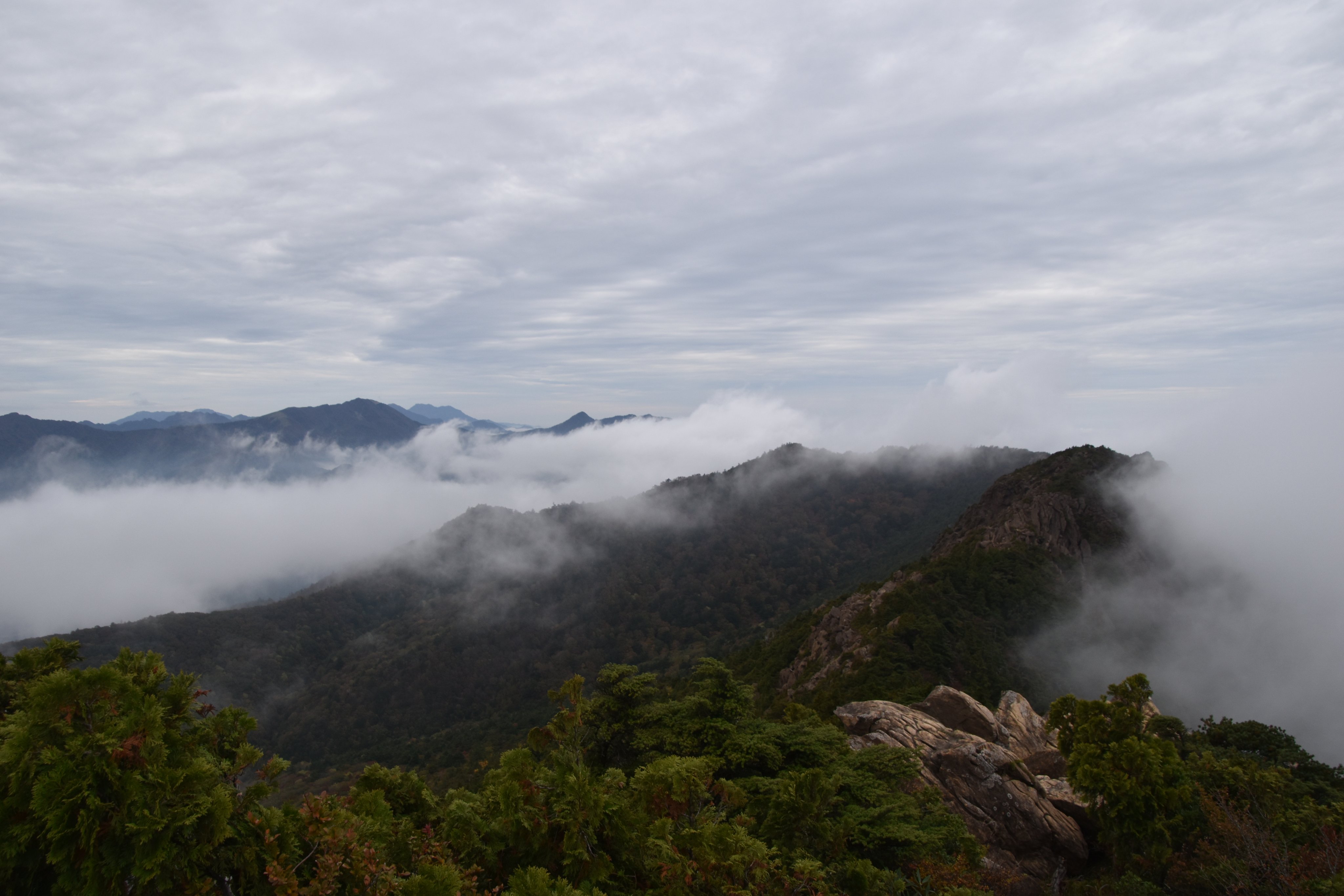 東赤石山 Twitter Search Twitter