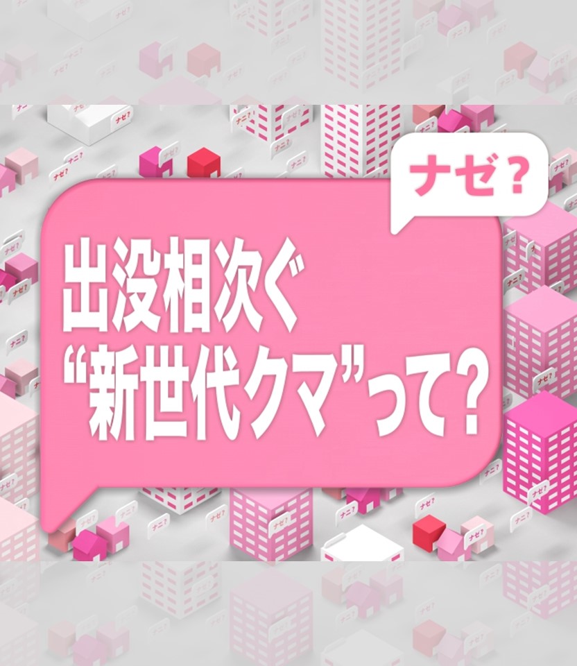 日テレnews 相次ぐクマ出没 3つの原因と遭遇時の対策 T Co T1cfs4anfa 最近 各地で クマの出没が相次いでいます 背景には 新世代クマ の増加があるとの指摘も 考えられる３つの原因と 遭遇してしまった時の対策をまとめました クマ