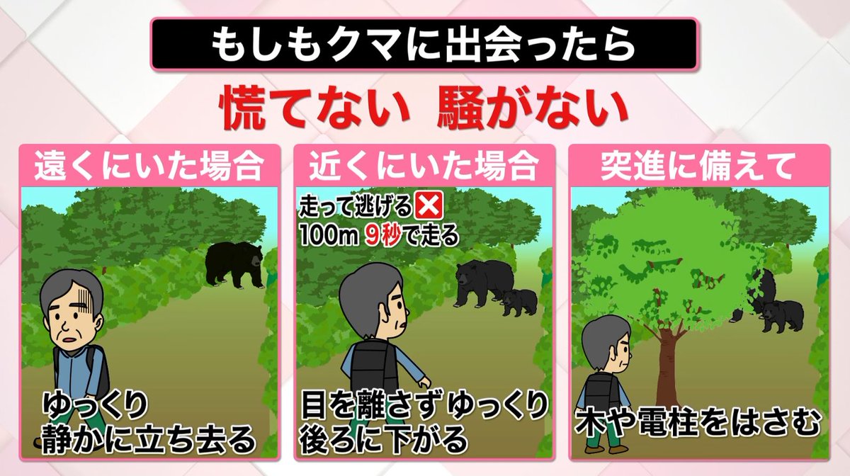 日テレnews 相次ぐクマ出没 3つの原因と遭遇時の対策 T Co T1cfs4anfa 最近 各地で クマの出没が相次いでいます 背景には 新世代クマ の増加があるとの指摘も 考えられる３つの原因と 遭遇してしまった時の対策をまとめました クマ