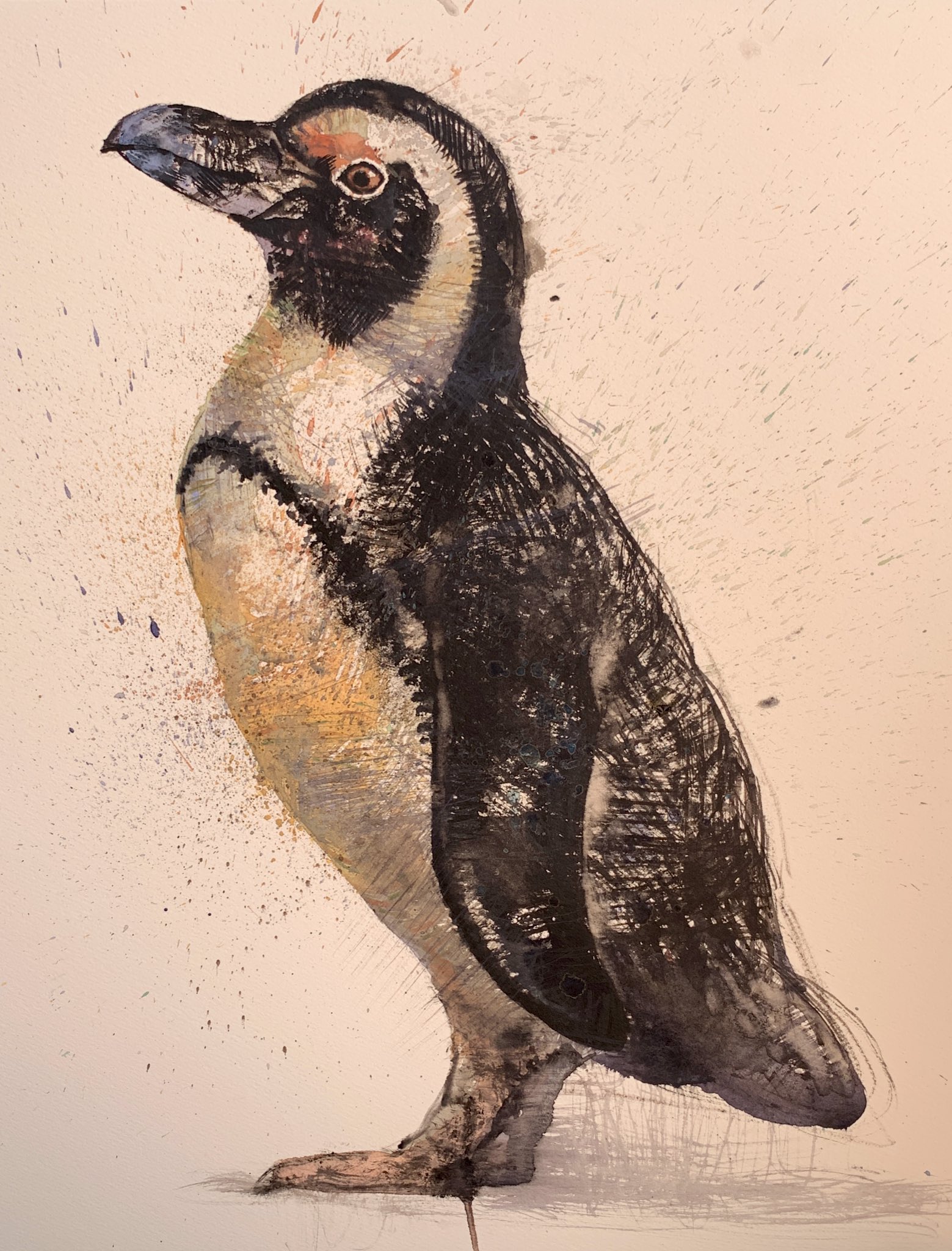 はしもとみお 池袋サンシャイン水族館にて ペンギンさんのスケッチを Youtubeにアーカイブを乗っけておいたので 一部始終の気になるかたはぜひ T Co C1jazu6nxh T Co Gkadzjz58b Twitter