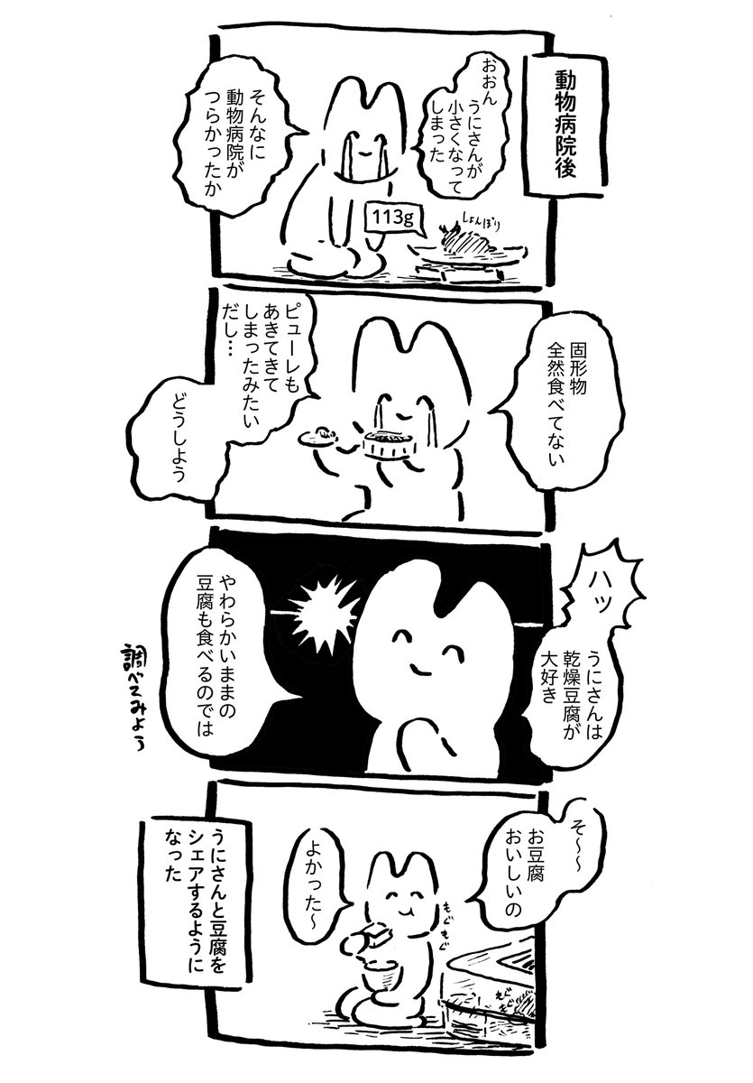 うにさんと私78  #うにさんと私 #創作漫画 #エッセイ漫画 