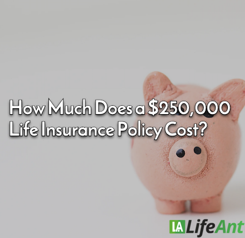 How Much Does a $250,000 Life Insurance Policy Cost? - Life Ant
lifeant.com/faq/how-much-d…