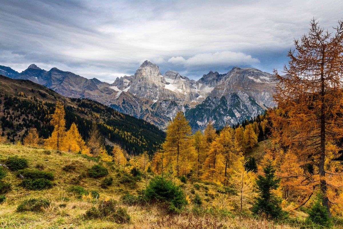 Esplosione di colori autunnali in #ValleIsarco. 💛🧡🤎
#AltoAdige #autunno