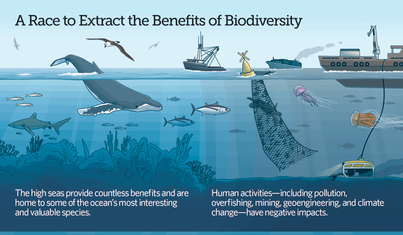  But it's not just fishing and climate change that are impacting the high seas -more and more activities such as seabed mining, geo-engineering, and aquaculture are looking to the high seas.