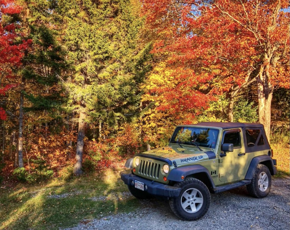 THEJeepMafia's tweet photo. Good morning Jeepers! Trees are really looking pretty right now. A great time to get out and take some really awesome pictures of your Jeep! We would love to see yours! Post’em up🍂🍁🍂 #thejeepmafia #leafpeeking #jeep #autumn https://t.co/jSNT0Oy15M