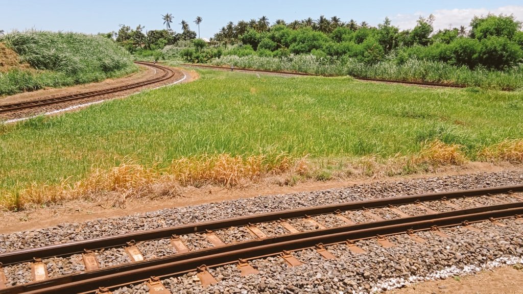 InformasiBWI's tweet photo. 1. Ujung Rel Kereta Api Tanah Jawa Ada Di Banyuwangi

Mungkin banyak orang tahu ujung timur dari rel kereta api di Pulau Jawa berada di Banyuwangi. Namun, banyak yang belum tahu dimana tepatnya ujung rel tersebut. https://t.co/yKojsOugxg