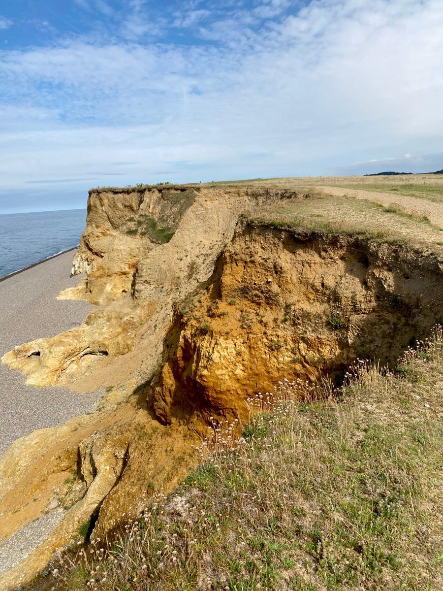 ECLocations's tweet image. Beautiful views today on a recce at #NP213 ☀️⁠
Where did this beautiful little ray of sunshine come from on the Norfolk coast today?!⁠