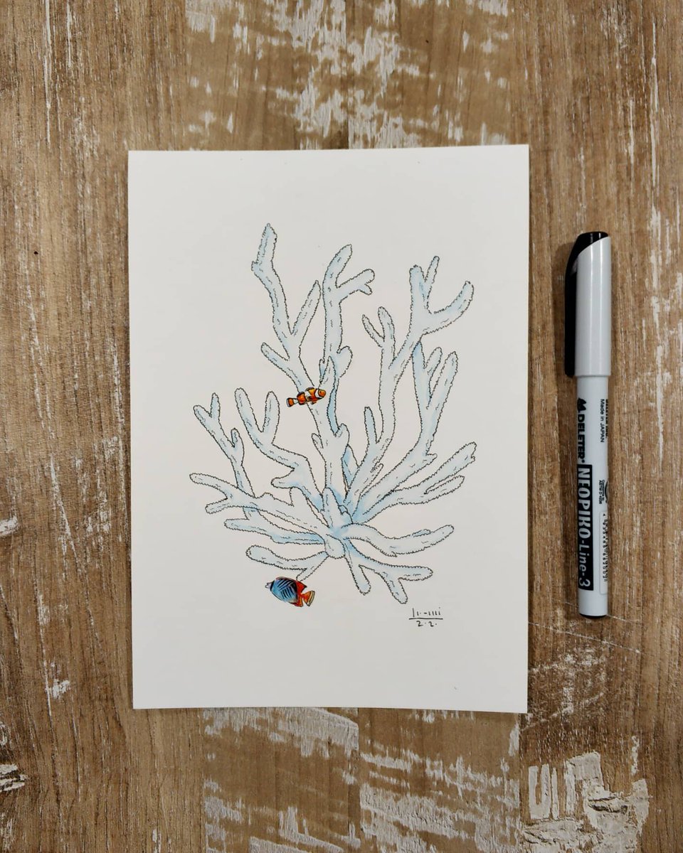 NMimoli's tweet photo. Día 20. Coral
#inktober2020day20 #Inktober https://t.co/XPsrI1VQZf