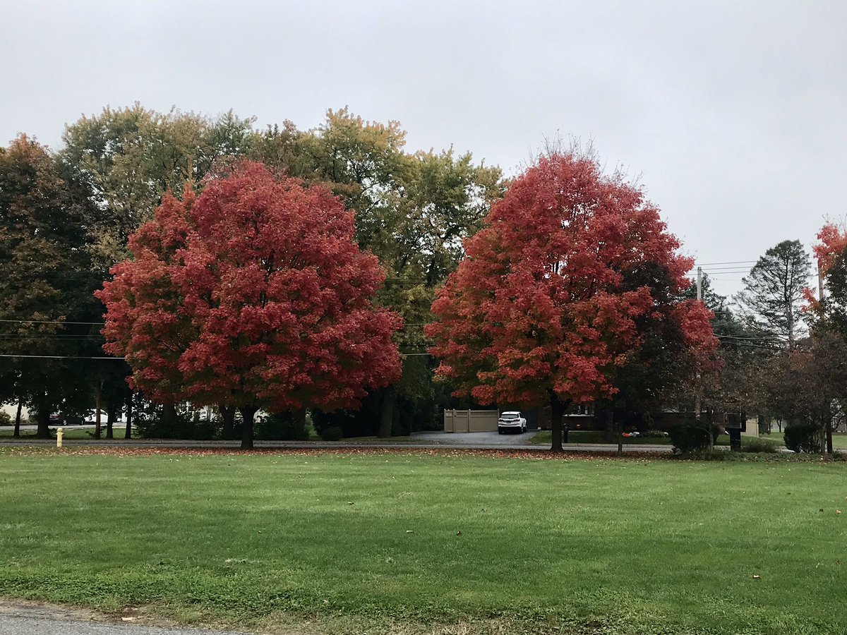 Nature sure knows how to color things just perfectly. Makes for a beautiful sight whilst welcoming the students at <a href="/HanoverBASD/">Hanover Elementary School, BASD</a> today.