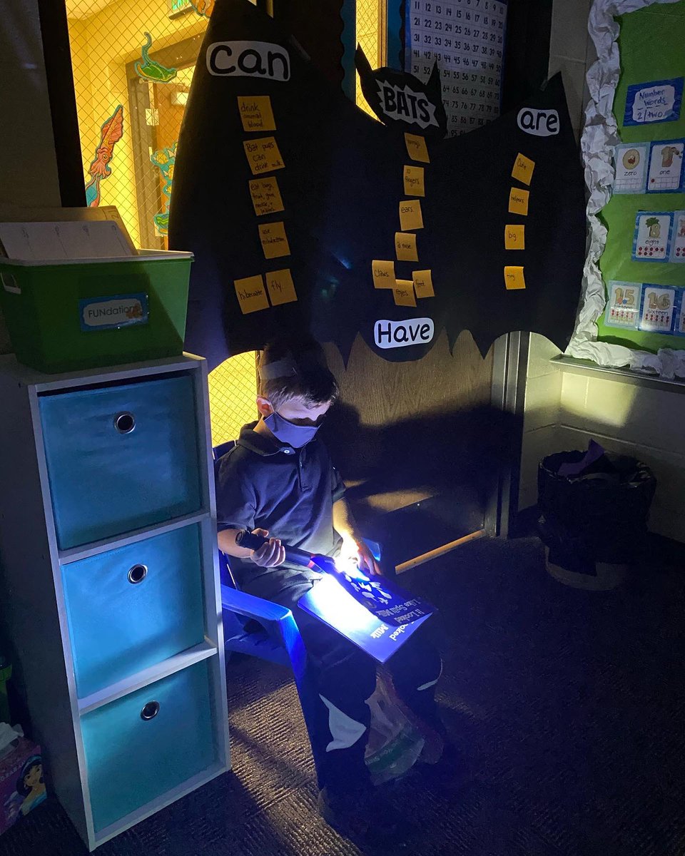 f_aukerman's tweet photo. Bat day to kick off our learning unit on bats! We learned about bats through science, literacy, math, &amp; writing today. #handsonlearning #concordpride #kindergartenclassroom https://t.co/JJOefyV66d