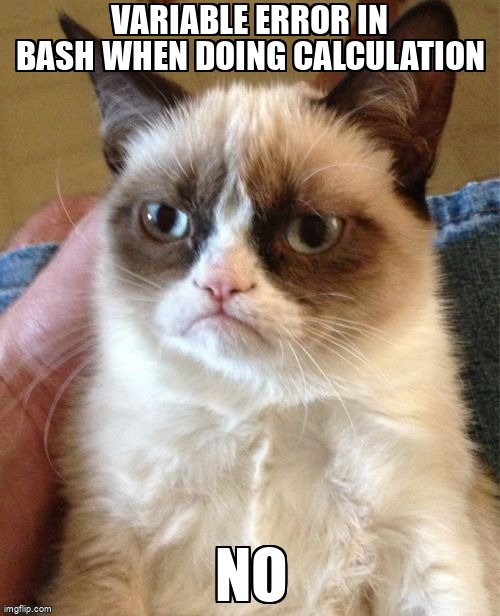 overflow_meme's tweet image. variable error in bash when doing calculation stackoverflow.com/questions/6443… #variableassignment #pipe #bash #commandsubstitution #syntaxerror