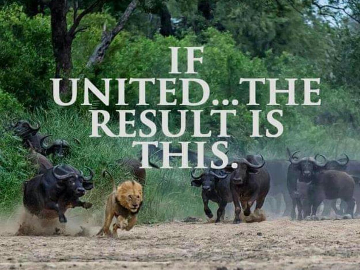EdSpetsnaz's tweet photo. There is strength in numbers 👇👇 https://t.co/N5cSJcAQPz