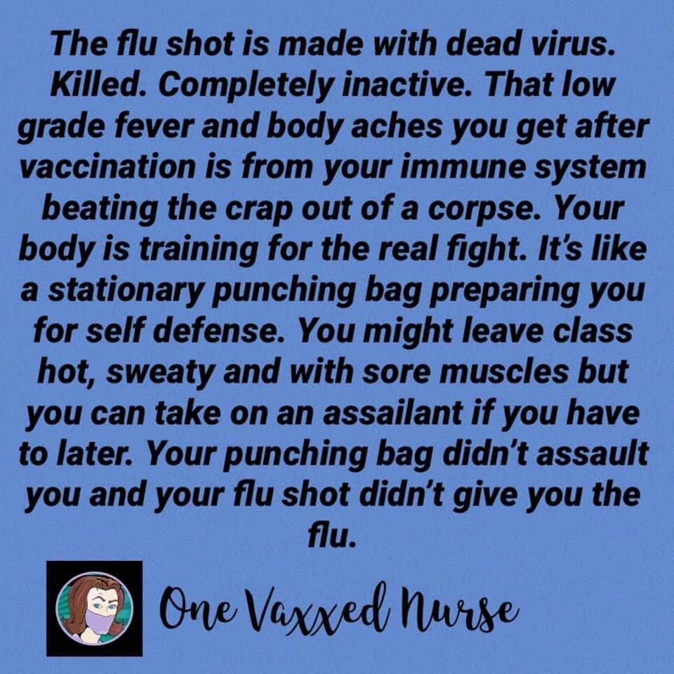 Maybe this analogy will help encourage anxious people to #getyourflushot