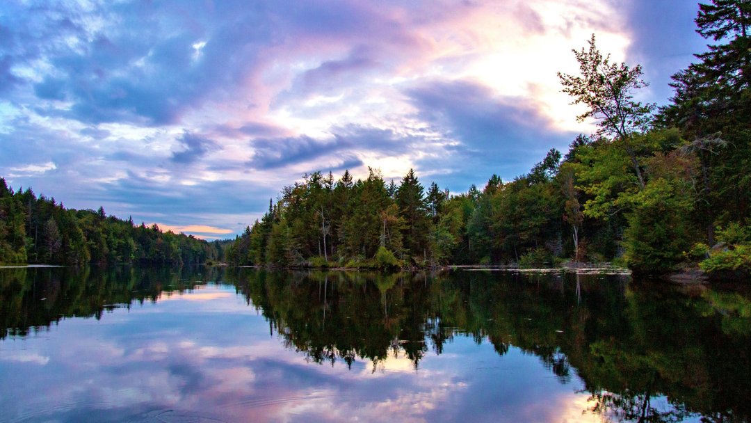 VTStateParks's tweet photo. The results are in for the 2020 Falling for VT State Parks photo contest. Congratulations to our winners! https://t.co/A2KJvwFTJP