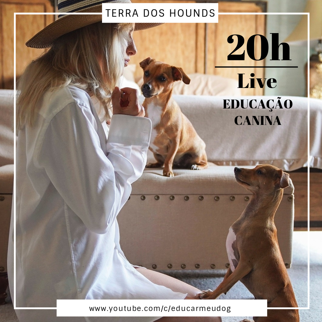terradoshounds's tweet photo. Hoje é dia da nossa super live no canal do youtube! Venha aprender mais sobre educação canina às 20h (horário de Brasília).
https://t.co/9WDe6ITcg8
#EducarMeuDog #EducaçãoCanina #cachorros #psicologiacanina #cachorroétudodebom https://t.co/g3XKalQ1HY