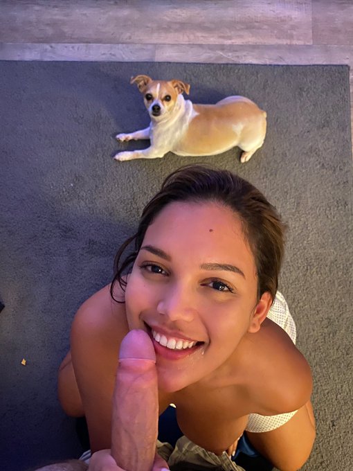 Caption this 😅 https://t.co/TjVu8ZUNmi