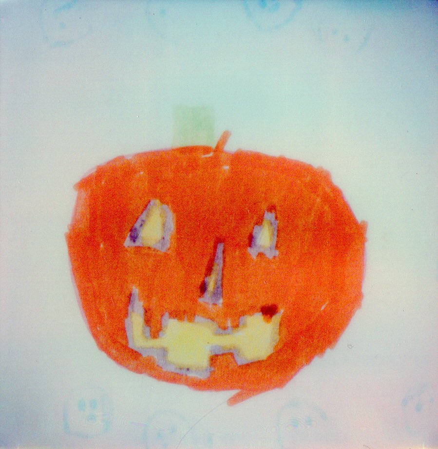 gomboli's tweet photo. Day 3 - @polaroidweek.
Niccolò joins the Polaroid Week for the first time, with his nice Pumpkin.
#PolaroidWeek #RoidWeek #instantlab https://t.co/ZG5DKdiiAR