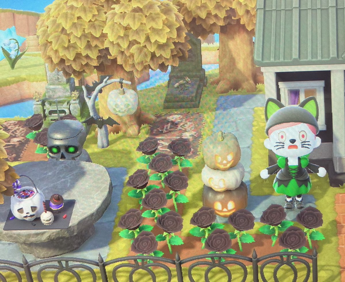 Diane Rawson tweet media