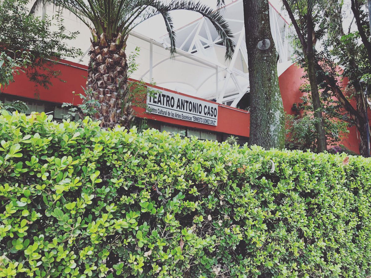 En muy, muy, muy poco tiempo. FAIRPLAY en Tlatelolco. @AlcCuauhtemocMx #impro #cdmx #cdmx_oficial #alcaldíacuauhtémoc #tlatelolco #improtop #fairplay #teatrodeportivo #sporttheatre #funny #saturday #sport #deporte #saludable https://t.co/z4SRwiU5zF