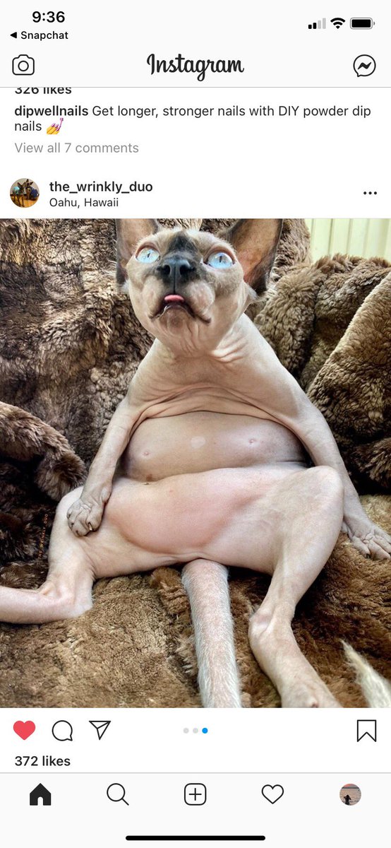 pschsmith's tweet image. Wow.