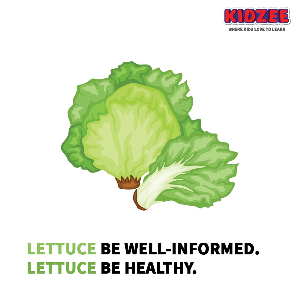 We, #lettuce leaves, are one of the world's most popular #salad #vegetables.
We come in many shapes, sizes & colours.
We are often eaten cold & raw, in salads, hamburgers, tacos, sandwiches & many other dishes.
#Kidzee #KidzeeStudents #Learning #EatYourGreens #HealthyFood https://t.co/JTPHhMcKYv